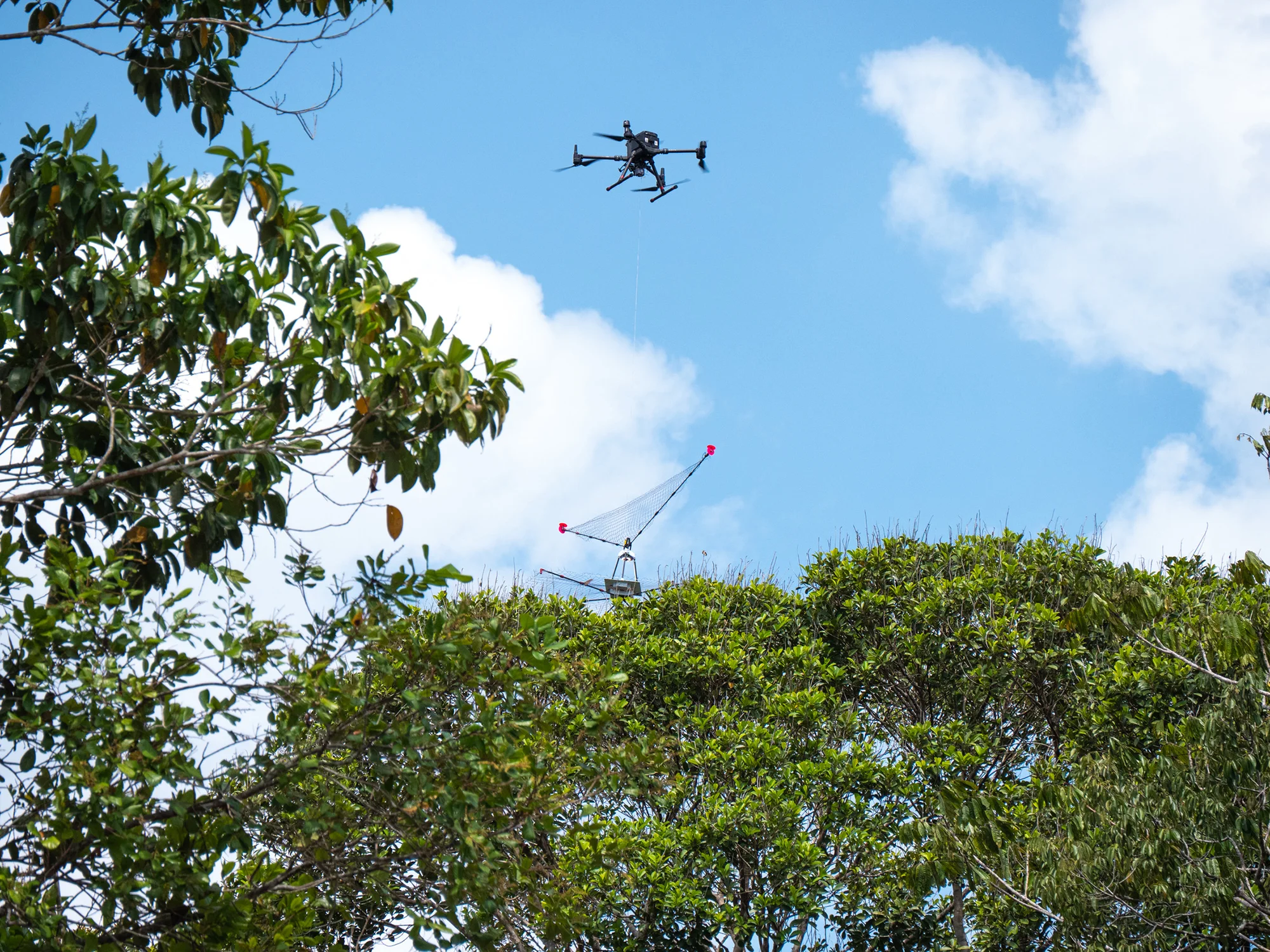 One of the team's autonomous drones deploys a canopy sensor in the Amazon rainforest during the XPRIZE Rainforest finals